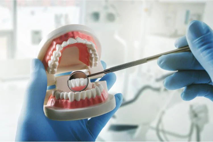 Un dentista che esamina un modello dentale